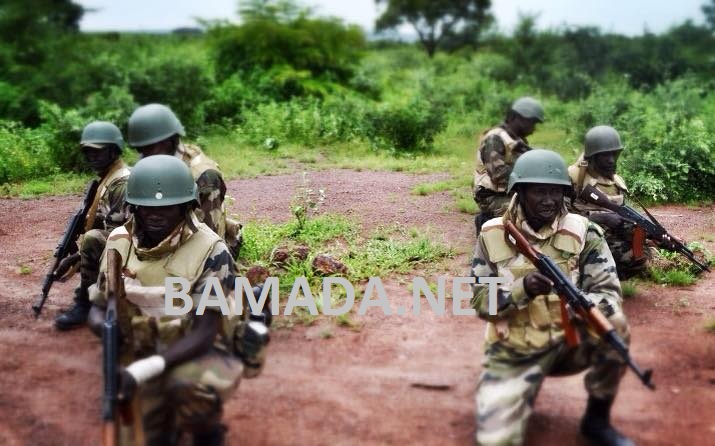 force-armee-malienne-fama-soldat-militaire-entrainement-formation-waraba