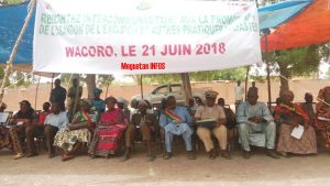 Activité-ONG-TOSTAN-Wakoro-Dioïla-Koulikoro-Mali