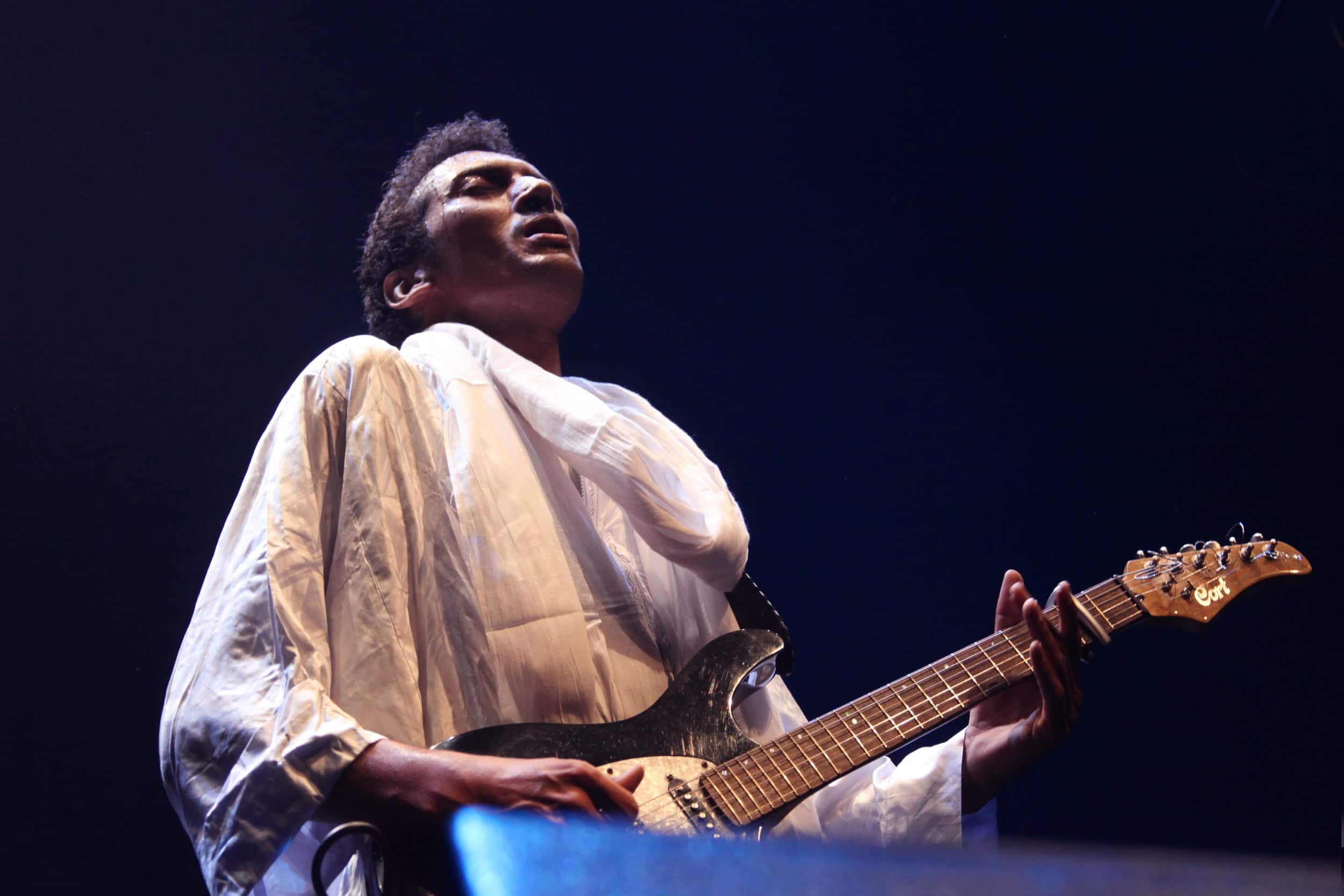 bombino16