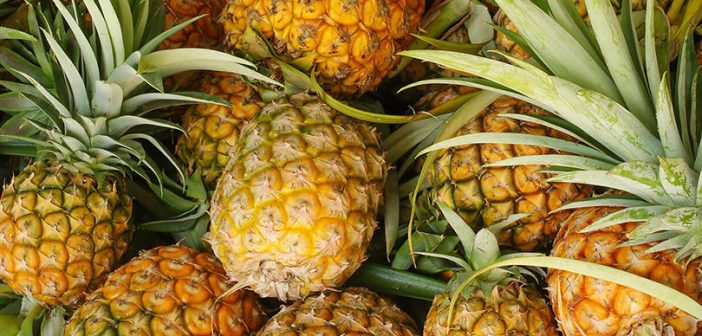 ananas-810x405-702x336