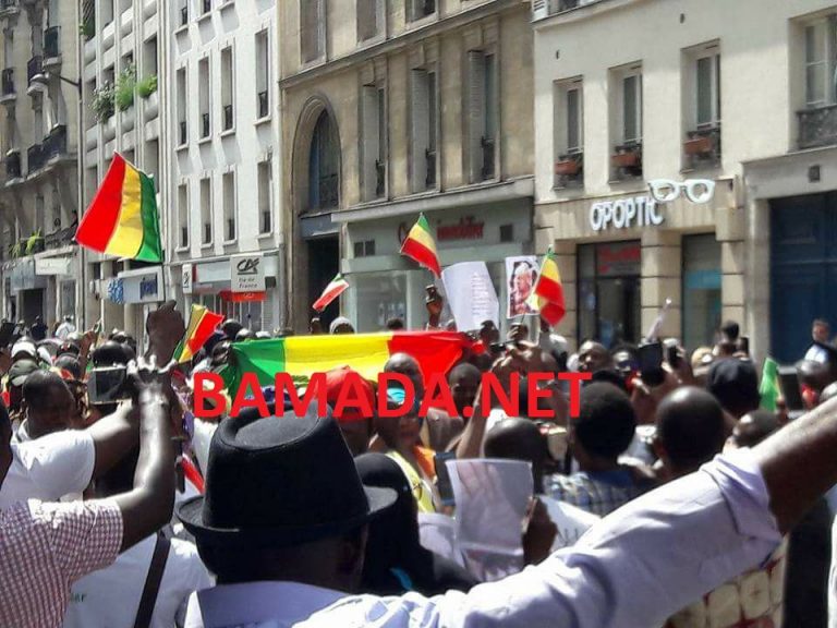 migran-immigre-diaspora-malien-marche-manifestation-foule-europe-france-paris-768x576