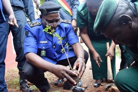 Directeur-régional-Police-Koulikro-plantation-arbre