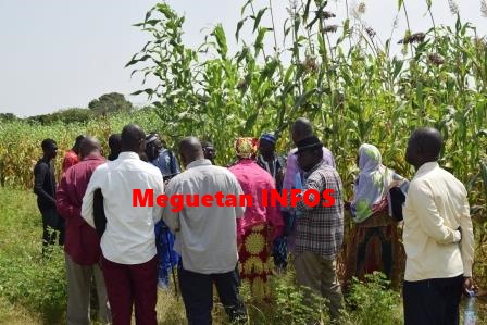 Visite de terrain