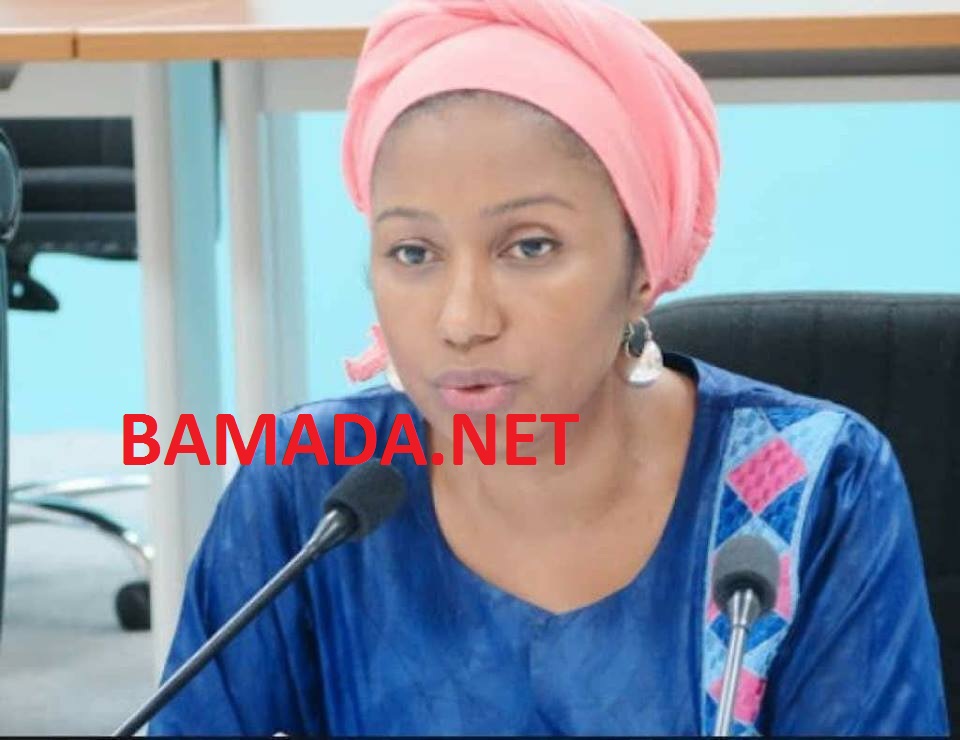 diall-safia-boly-ministre-reforme-administration-transparence-vie-publique-biographie-cv-curriculum-vitae