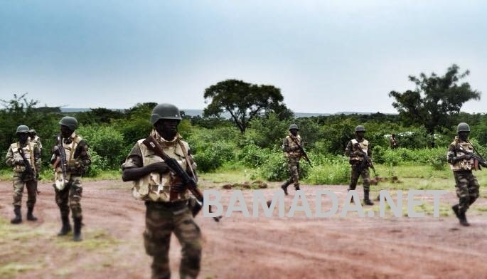 force-armee-malienne-fama-soldat-militaire-entrainement-waraba-embuscade