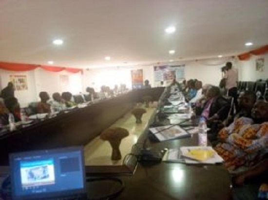 Mme-Adwoa-Atta-Krah-Directrice-siege-USAID-Mali-SIRA-conference