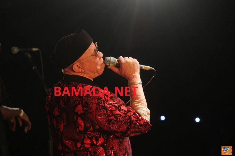 salif-keita-artiste-chanteur-festival-niger-concert-segou-768x512