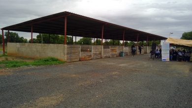 Photo de zoumana Nayté