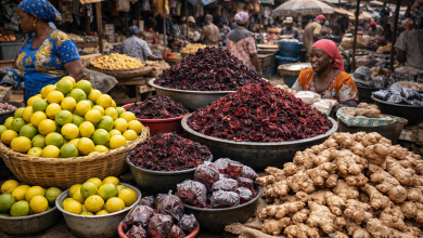 Crédit photo: Meguetan INFOS